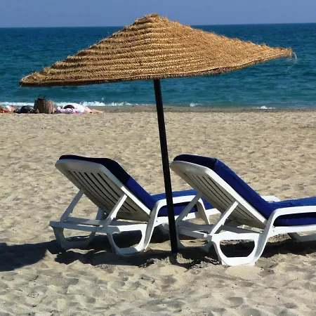 2⭐ Avec Piscine Et Parking à - Fr-1-472a-147 Sète